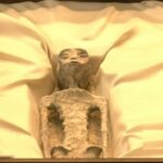 Las raras momias de tres dedos que presentaron en México